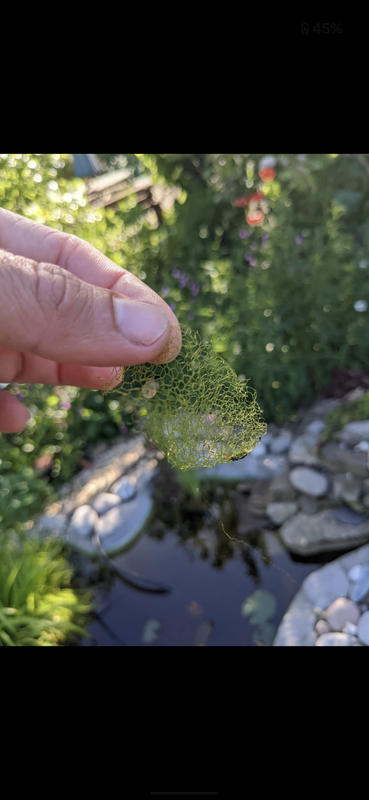 Screenshot_20220628-082955