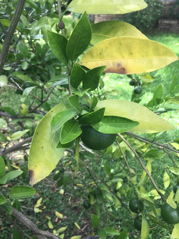 02700110-0852-4878-8CF5-4FB148ED22F4