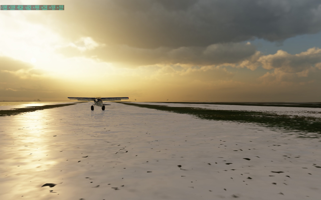 [Image: 20251114-AER003-PABE-PAGG-16.jpg]