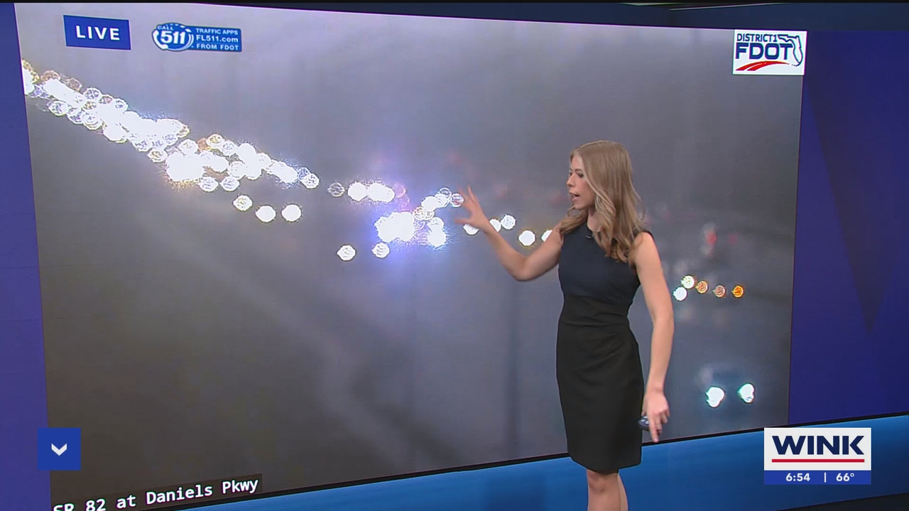 WINK News at 630am_20250212_11301200.ts_snapshot_25.17.131
