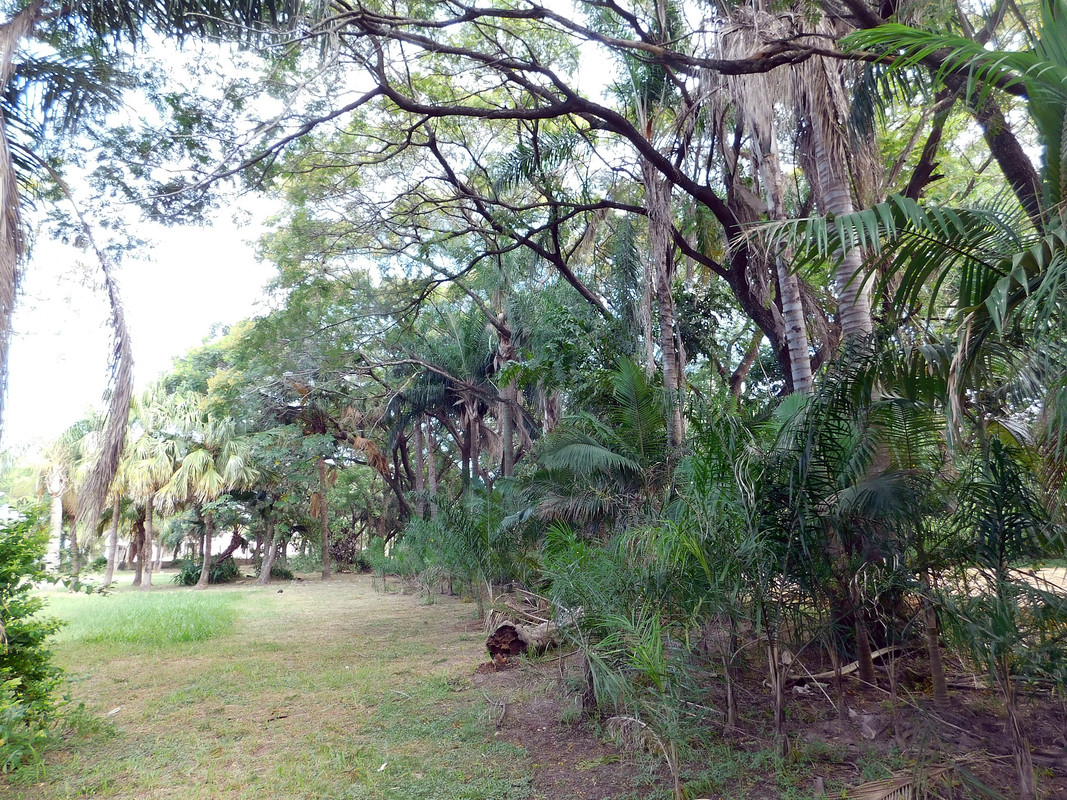 DSCN0489.jpg
