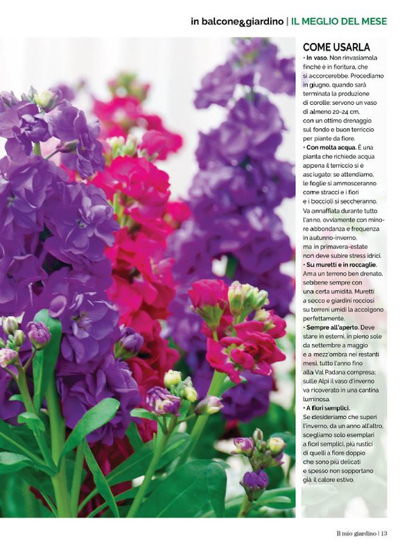 Il Mio Giar Apr-Mag 2023 (6)