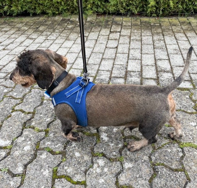 [Image: IMG-3891.jpg]