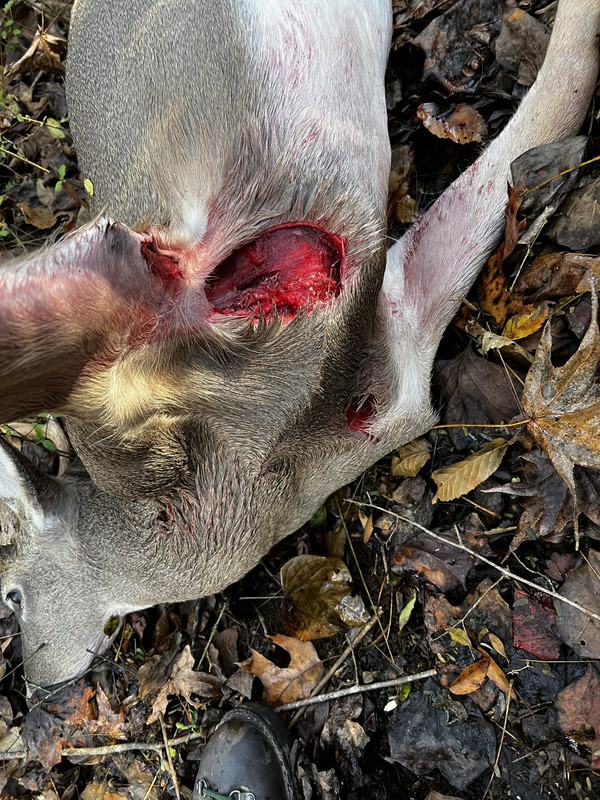 93738ACC-464E-4733-8D3D-84733EF2186C