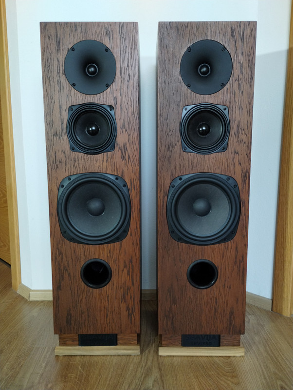 IMG_20250302_130610202