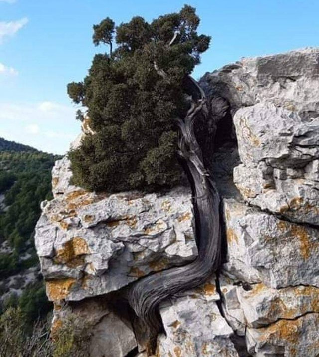 Naturaleza-11
