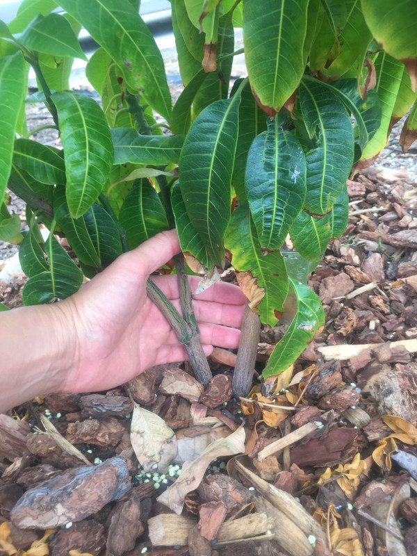 D1AB67E8-3023-421F-8FB4-D5E9715B363A