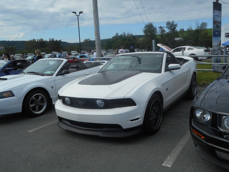 Rendez-Vous Mustang Cliche Auto Ford - 14 août 2022 Cliche2022-06