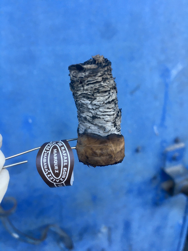 071B9AFB-9FC7-4BD9-A34B-AF64065E2EAF