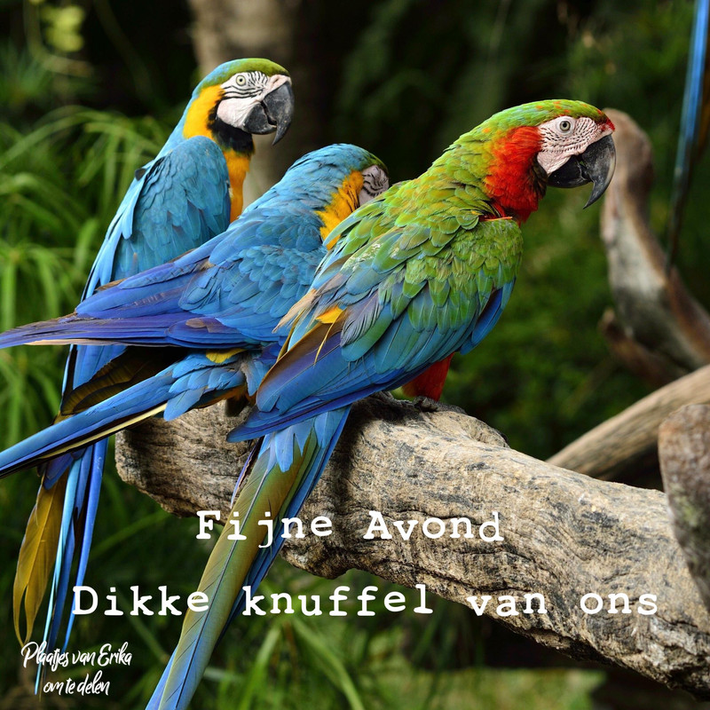 7C482914-5DC6-4721-BD6A-9C4E28AB540B