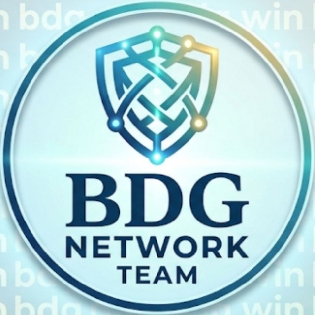 BDG NETWORK TEAM Logo