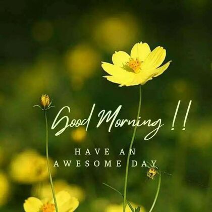 Good-Morning-Awesome-Yellow-Day