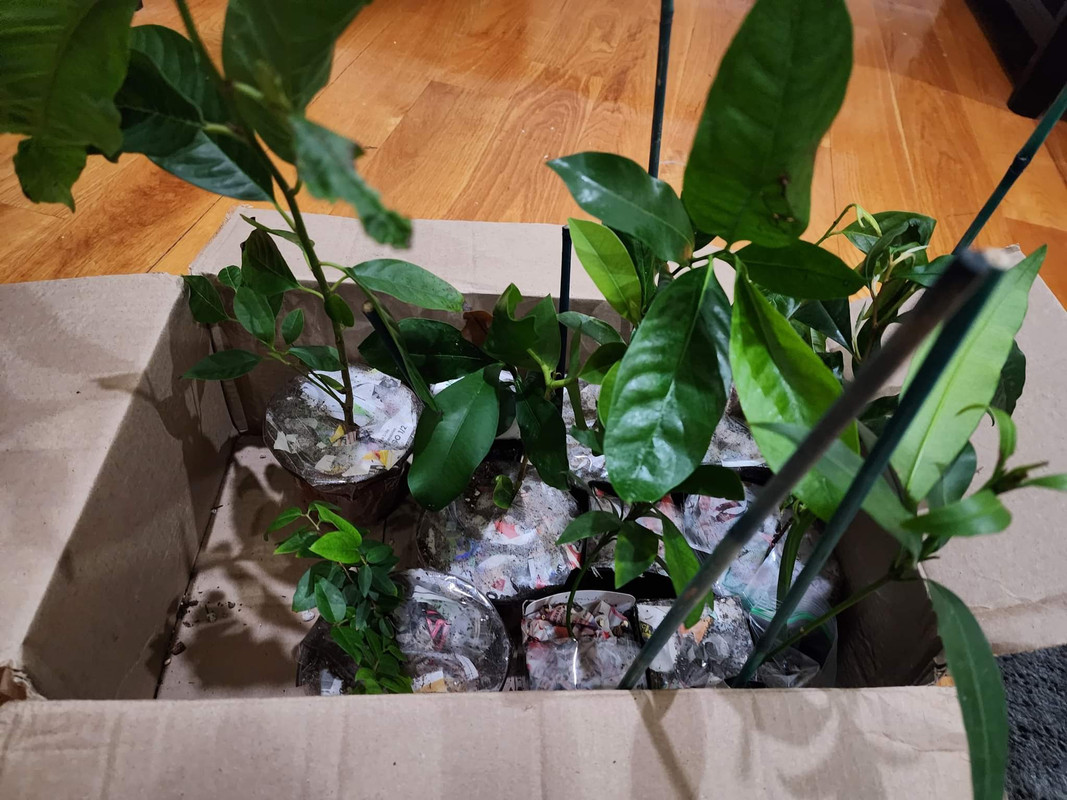 received_826238565385019