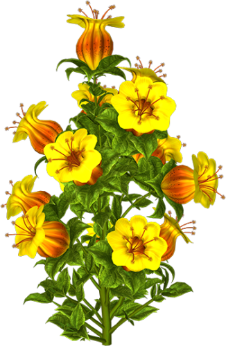 Kit_Just_Bee_In_ME (32)