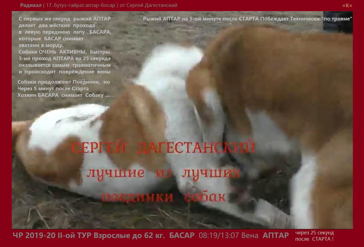 ЧР 2019-20 2Т 2019.12.14 СрВ Взр. АПТАР рыж х БАСАР б.рыж Den 17