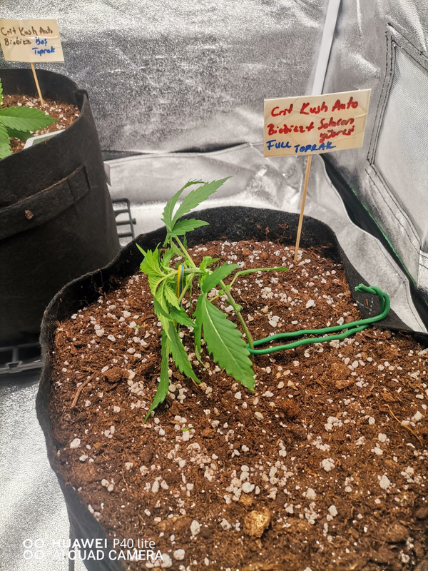 WhatsApp Image 2025-09-19 at 22.05.16 (4)