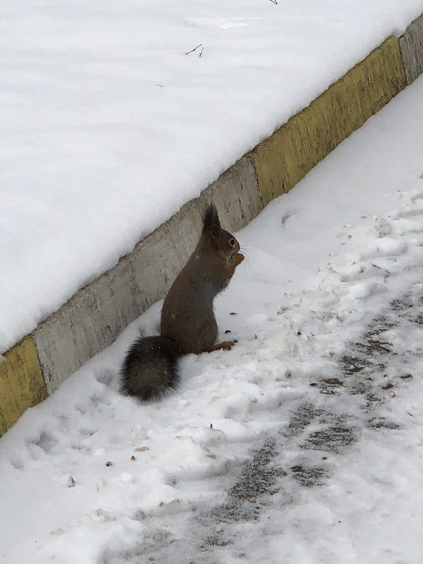 04F8EE44-656F-436F-BB9C-19D4C3263C80