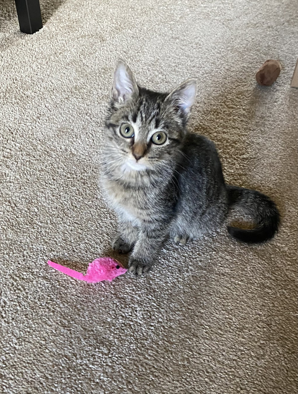 4696C442-514E-4A5F-A57F-6BFBEF0B0C6A