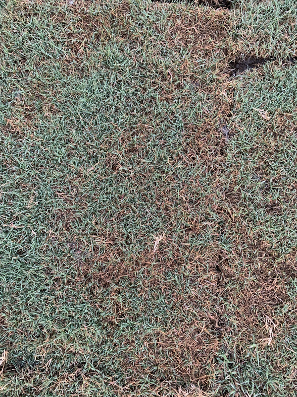 DE363F55-BDAF-49B3-A4A1-0AA6C68EF008