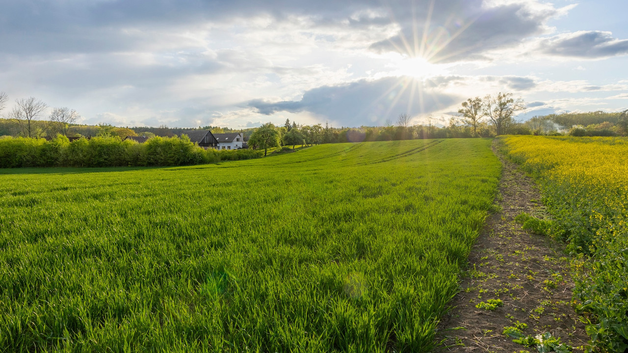 Bouwgrond op schiereiland in Oost-Bohemen - Afbeelding 5