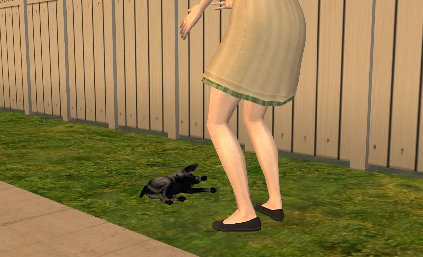 Sims2-EP9-2020-10-26-21-29-04-83