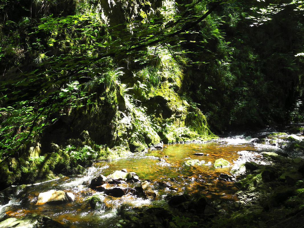 greencountrysidecreek.jpg