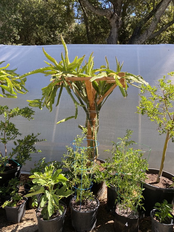 427CE07B-16CB-407E-9BB1-3C20C655A320