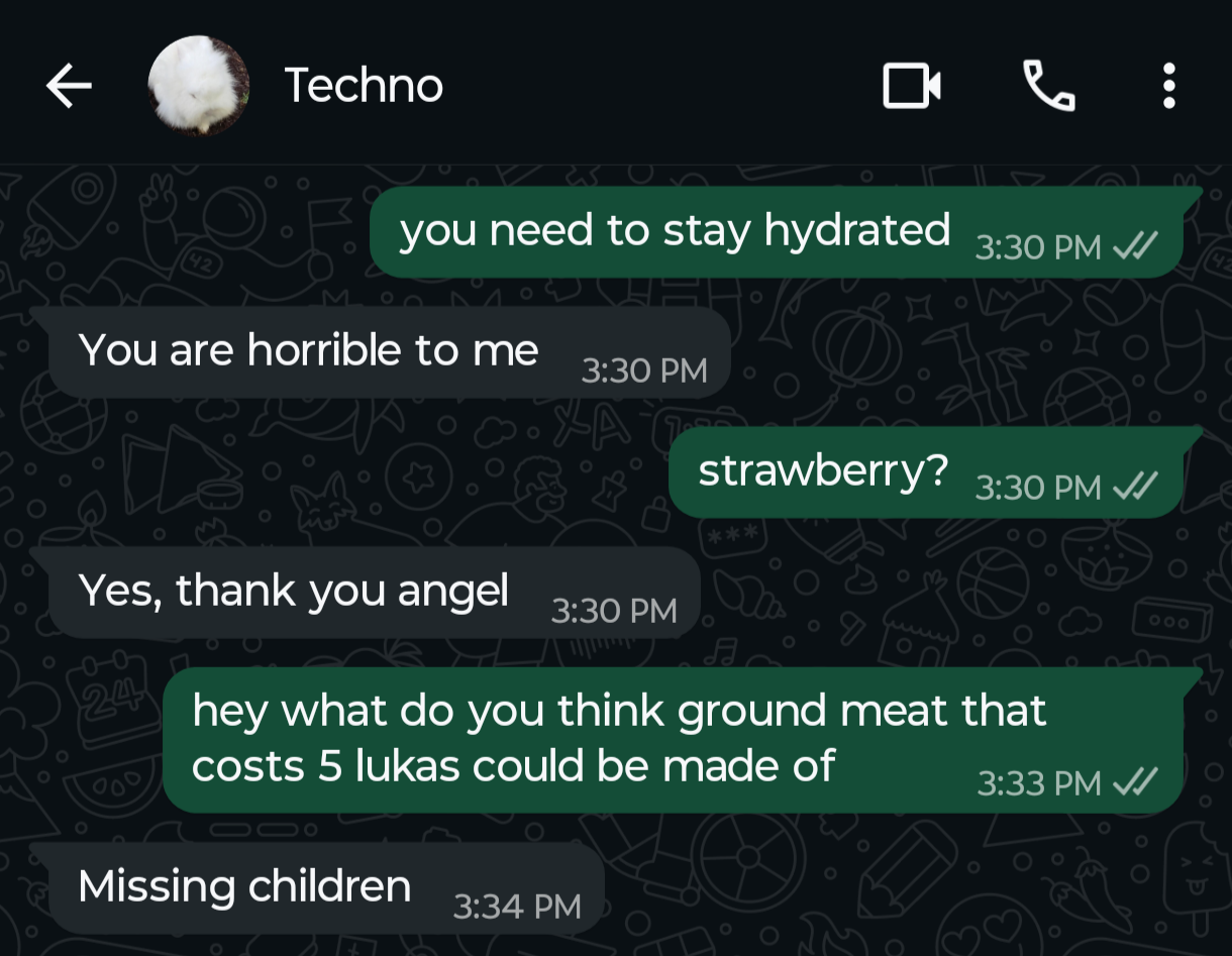 Screenshot of a whatsapp conversation between Techno and Phil Phil: you need to stay hydrated  Techno: You are horrible to me  Phil: strawberry?  Techno: Yes, thank you angel  Phil, a few minutes later: hey what do you think ground meat that costs 5 lukas could be made of?  Techno: Missing children