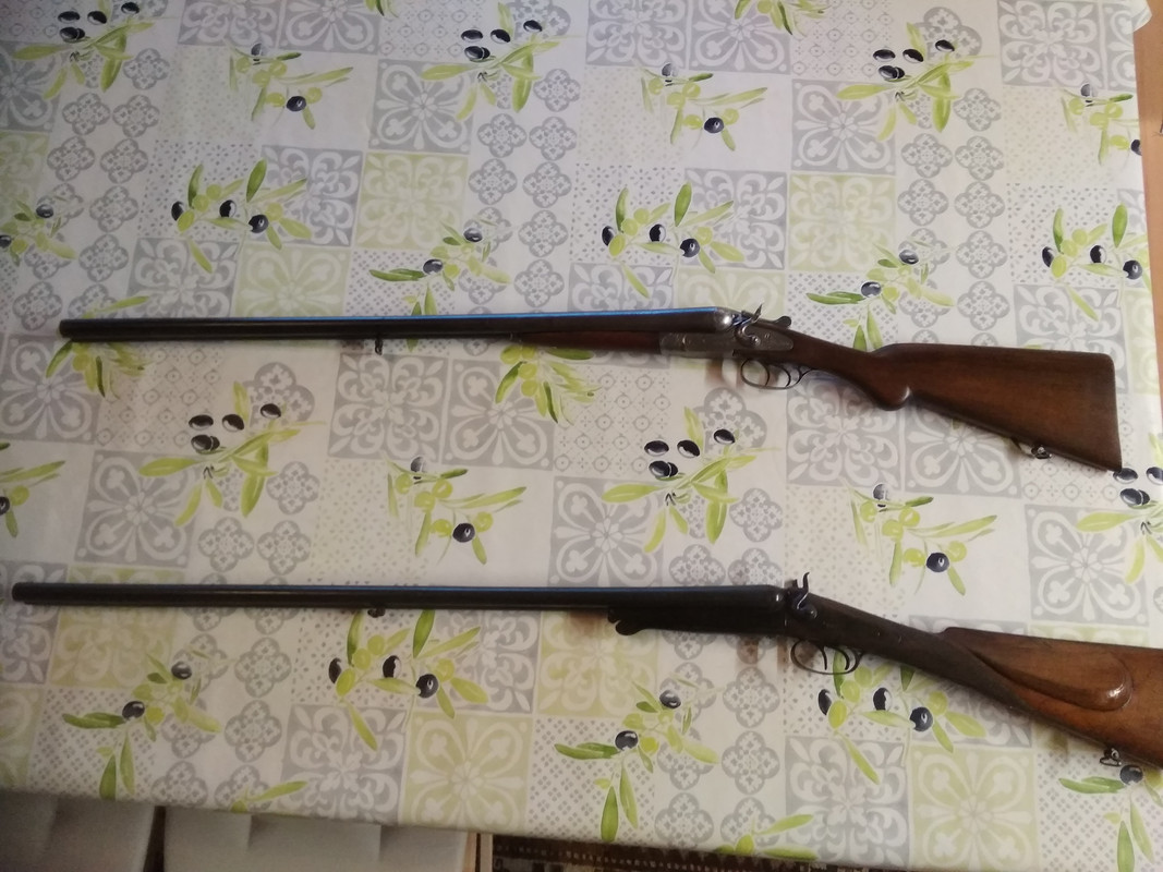 4D21F29F-85BF-4589-90E8-982B06AEDCBD