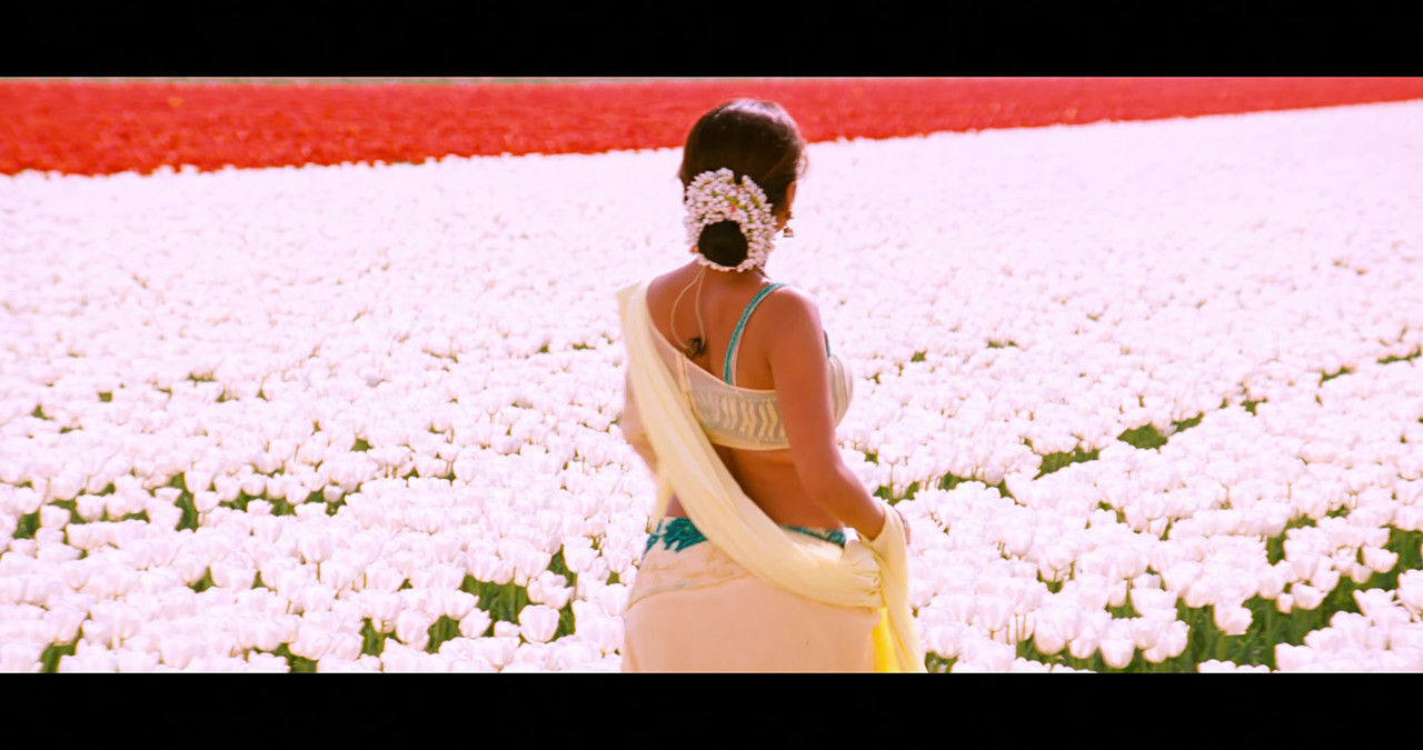 VideoCapture_20241122-195941