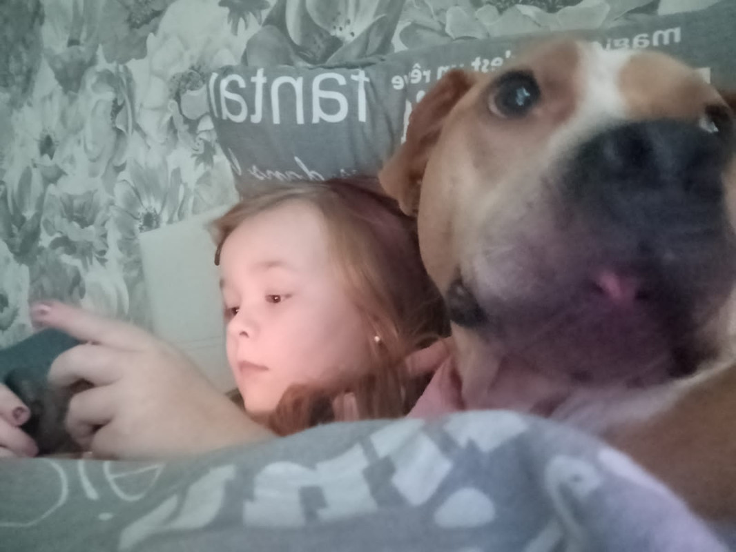 20FBEEBF-A9C1-40F6-A335-9FF0E27D87F9