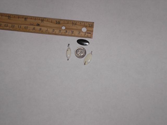 P1010003 (2)