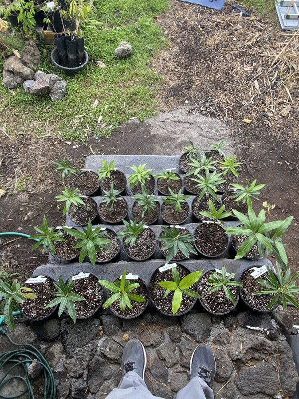 25DA1622-ADAB-4153-AC86-132E6C92B0D2