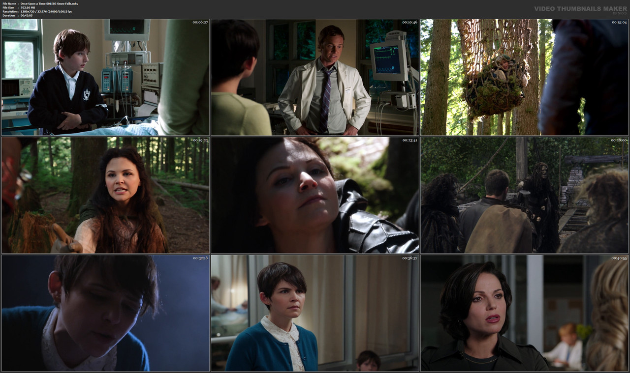 Once Upon a Time S01E03 Snow Falls.mkv