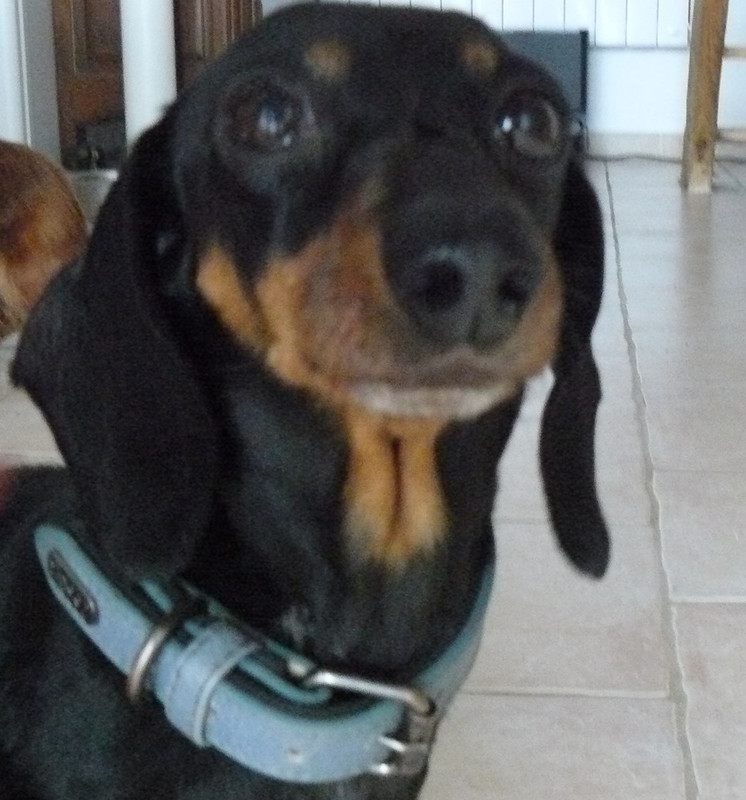 [Image: P1240712.jpg]