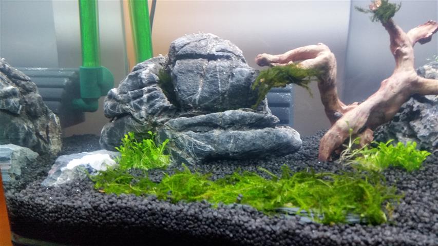 20141128_210227 (Small)