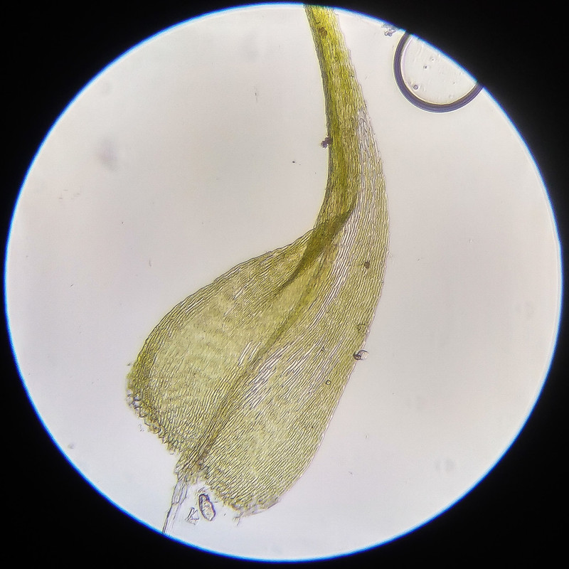 IMG 20250614 122751 HDR