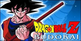 dbzfp20b.webp