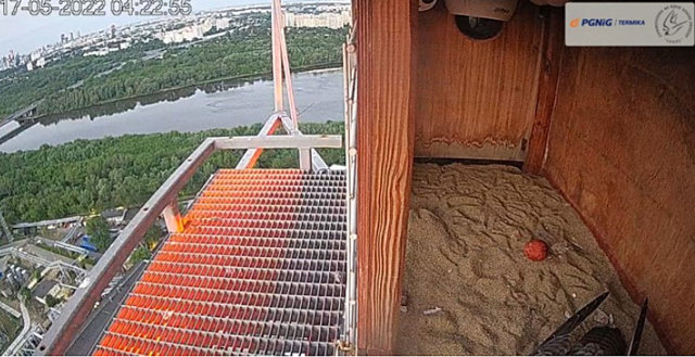 WARSZAWA PGNIG TERMIKA ŻERAŃ Przechwytywanie-w-trybie-pe-noekranowym-17-05-2022-074805