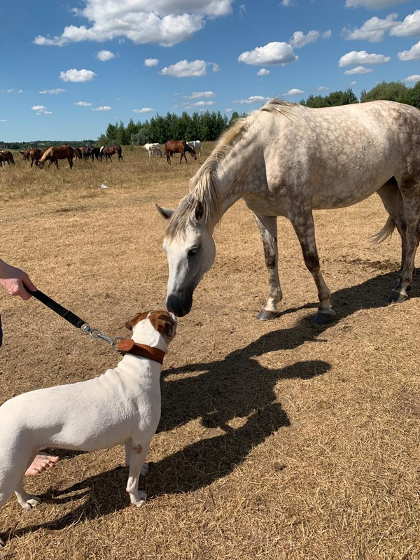 E9F7608C-3D9D-49C0-88AE-7DB297159462