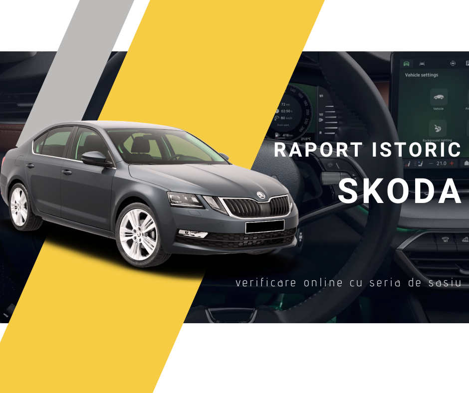Verificare istoric Skoda