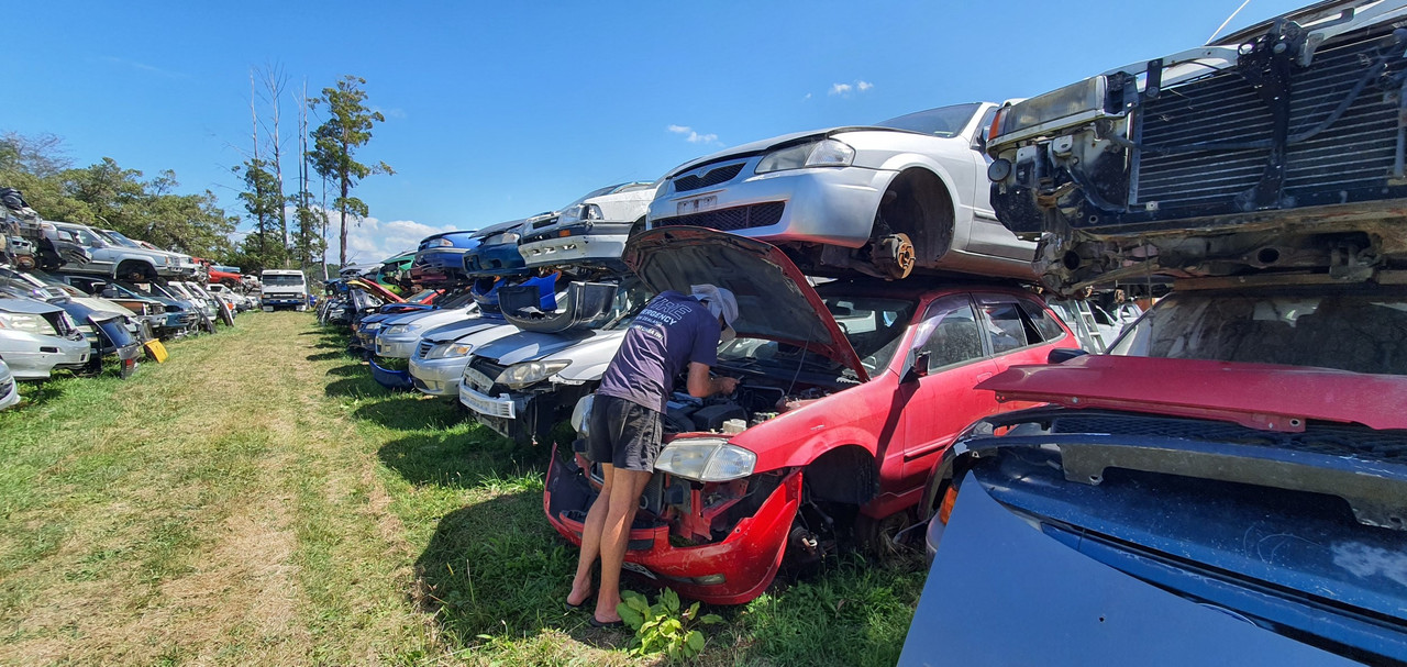 20240201_152656 (Custom)