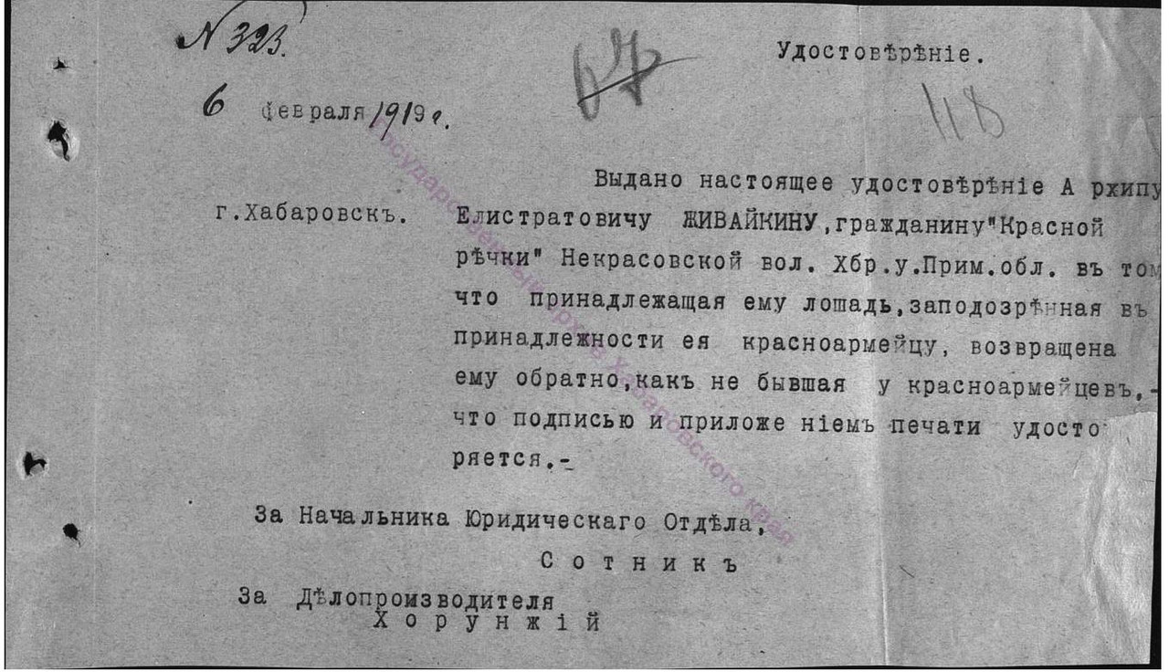 Лошадь заподозренная.