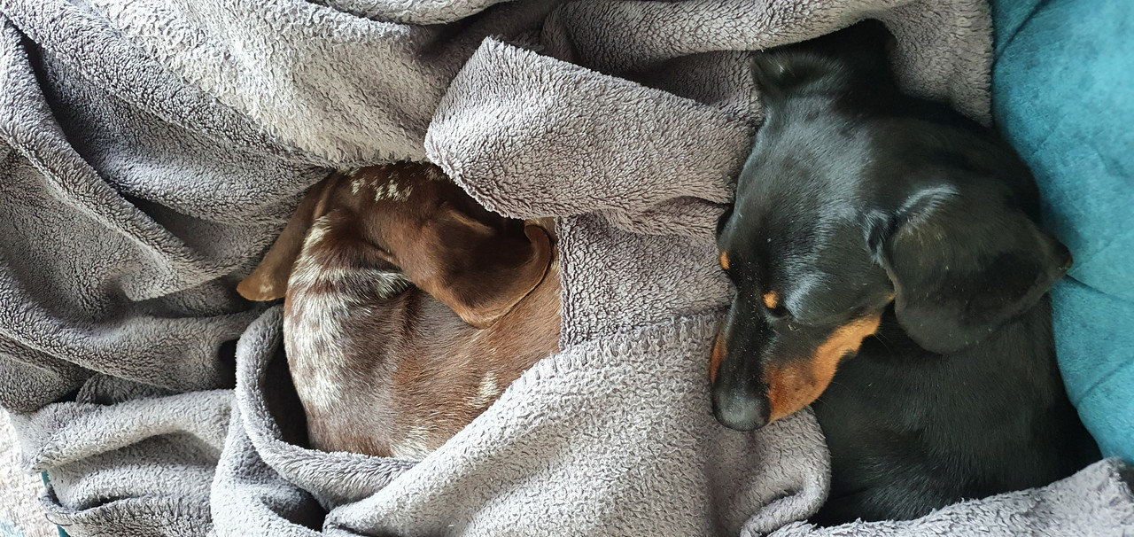 [Image: 20211022-132116.jpg]