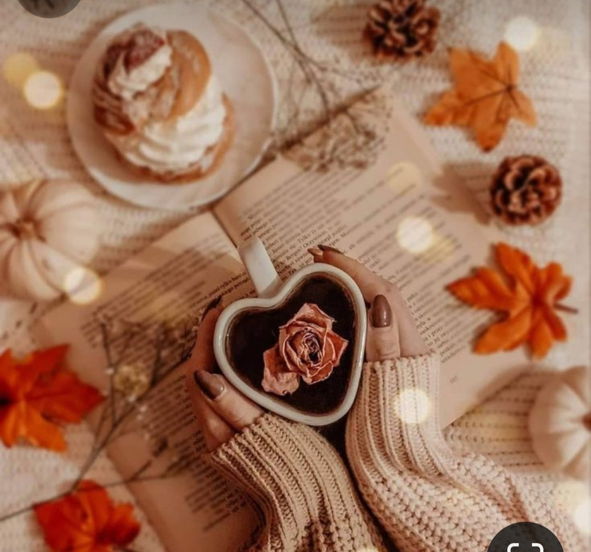 Screenshot_20231121_223808_Pinterest