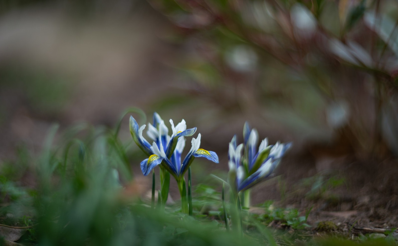 IMG-4ec7ed802983a77d97d1d5e3fd685d5d-V