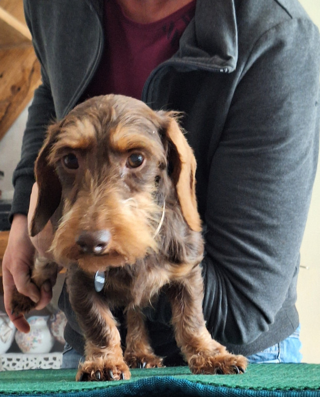 [Image: 20240702-164052.jpg]