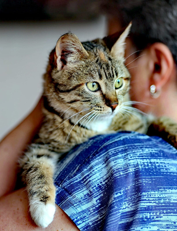 Изображение WhatsApp 2024-08-05 в 12.23.41_24e056d6