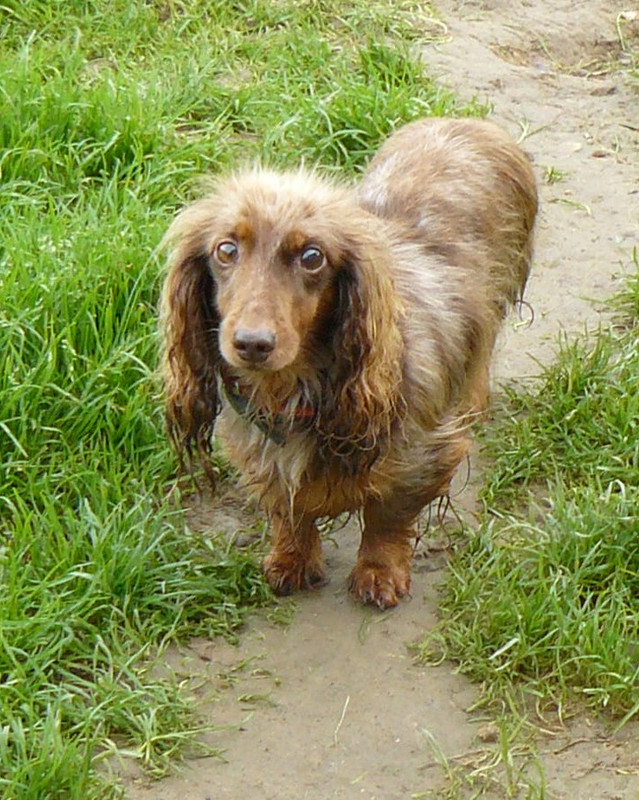 [Image: P1240472.jpg]