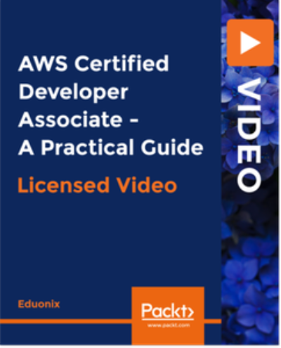 AWS Certified Developer Associate - A Practical Guide